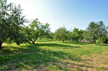 Prodej domu 161 m², Olomouc