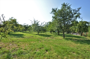 Prodej domu 161 m², Olomouc