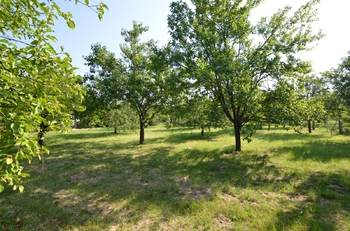 Prodej domu 161 m², Olomouc
