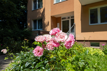 Prodej bytu 1+1 v osobním vlastnictví 38 m², Brno