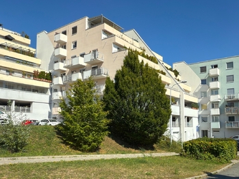Prodej bytu 3+kk v družstevním vlastnictví 135 m², Brno