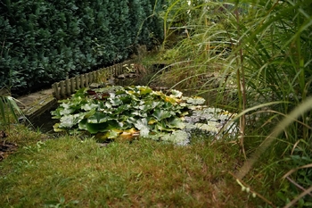 jezírko - Prodej chaty / chalupy 160 m², Sobkovice