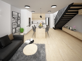 Vizualizace kuchyně a obývací pokoj - Prodej domu 92 m², Měnín