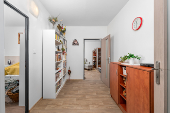 Hala - Prodej bytu 3+1 v osobním vlastnictví 78 m², České Budějovice