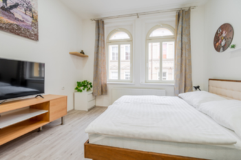 Prodej bytu 1+1 v osobním vlastnictví 40 m², Praha 3 - Žižkov