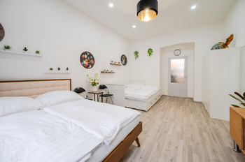 Prodej bytu 1+1 v osobním vlastnictví 40 m², Praha 3 - Žižkov