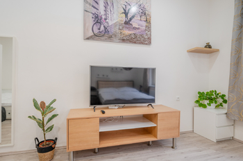 Prodej bytu 1+1 v osobním vlastnictví 40 m², Praha 3 - Žižkov