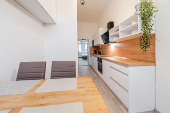 Prodej bytu 1+1 v osobním vlastnictví 40 m², Praha 3 - Žižkov