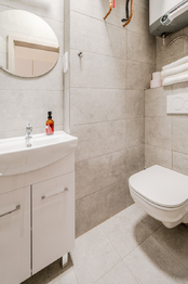 Prodej bytu 1+1 v osobním vlastnictví 40 m², Praha 3 - Žižkov