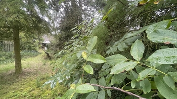 Prodej domu 100 m², Cítov