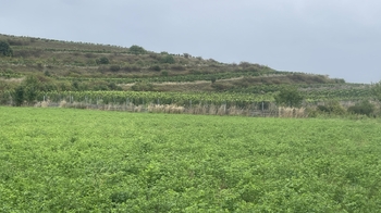 Prodej domu 100 m², Cítov