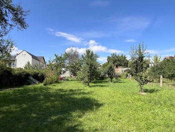 Zahrada s ovocnými stromy - Prodej domu 95 m², Hořín