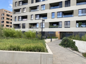 exteriér domu I. - Pronájem bytu 2+kk v osobním vlastnictví 63 m², Praha 9 - Vysočany