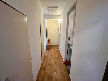 Pronájem bytu 1+1 v osobním vlastnictví 46 m², Břeclav
