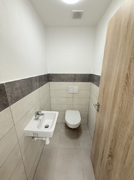 Pronájem bytu 3+kk v osobním vlastnictví 84 m², Plzeň