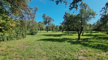 Prodej bytu 3+kk v osobním vlastnictví 157 m², Praha 8 - Libeň