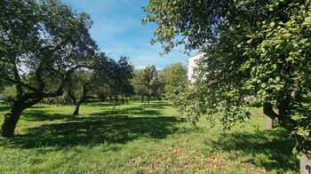 Prodej bytu 3+kk v osobním vlastnictví 157 m², Praha 8 - Libeň