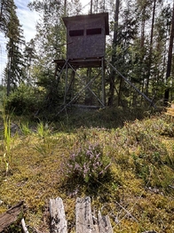 Prodej pozemku 1001 m², Suchdol nad Lužnicí