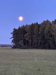 Prodej pozemku 1001 m², Suchdol nad Lužnicí