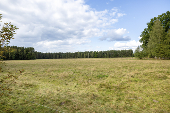 Prodej pozemku 1001 m², Suchdol nad Lužnicí