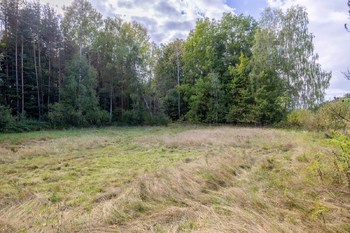 Prodej pozemku 1001 m², Suchdol nad Lužnicí