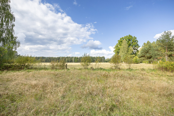 Prodej pozemku 1001 m², Suchdol nad Lužnicí