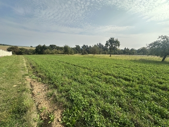 Prodej pozemku 2567 m², Podivice
