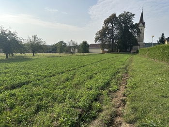 Prodej pozemku 2567 m², Podivice