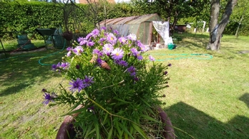 Prodej domu 179 m², Třebechovice pod Orebem