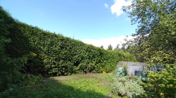 Prodej domu 179 m², Třebechovice pod Orebem