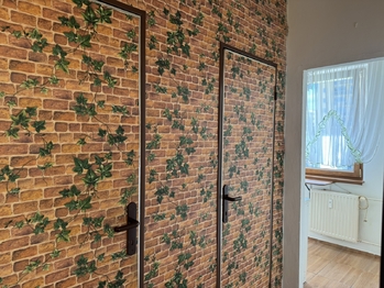 Pronájem bytu 1+1 v osobním vlastnictví 36 m², Děčín