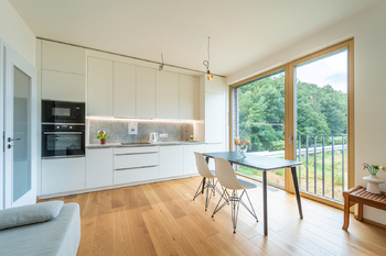 Obývací pokoj, výhled do zeleně - Pronájem bytu 1+kk v osobním vlastnictví 41 m², Praha 6 - Dejvice 