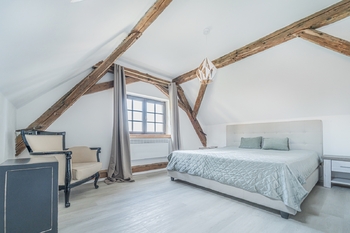 Prodej domu 681 m², Stříbrná Skalice