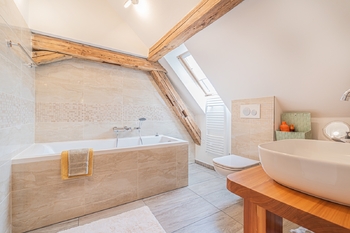Prodej domu 681 m², Stříbrná Skalice