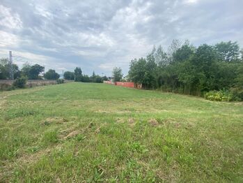 Pronájem pozemku 2970 m², Vikýřovice