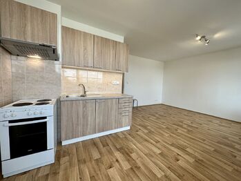 Pronájem bytu 1+kk v osobním vlastnictví 39 m², Kladno