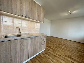 Pronájem bytu 1+kk v osobním vlastnictví 39 m², Kladno