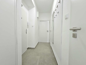 Pronájem bytu 2+1 v družstevním vlastnictví 53 m², Blansko