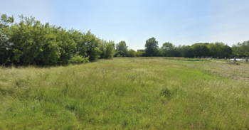 Prodej pozemku 5565 m², Protivín