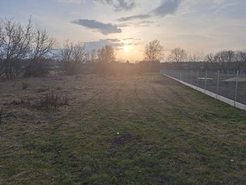 pozemek oddělen od sousedního plotem - Prodej pozemku 5565 m², Protivín