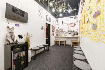 Prodej obchodních prostor 590 m², Praha 10 - Strašnice