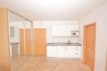 Prodej bytu 2+kk v osobním vlastnictví 40 m², Praha 2 - Vinohrady