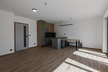 Pronájem bytu 1+kk v osobním vlastnictví 40 m², Draženov