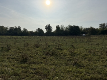 Prodej pozemku 2561 m², Chabařovice