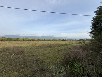 Prodej pozemku 2561 m², Chabařovice