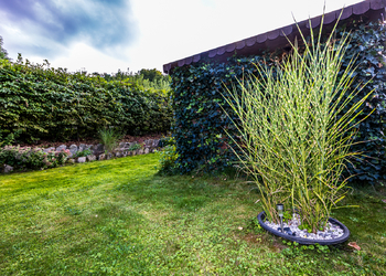 Prodej chaty / chalupy 18 m², Velké Březno