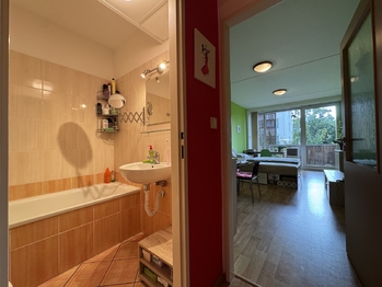 Prodej bytu 1+kk v osobním vlastnictví 26 m², Olomouc