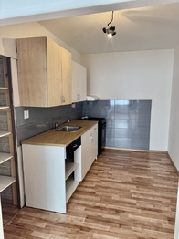Pronájem bytu 3+kk v družstevním vlastnictví 67 m², Praha 4 - Kamýk