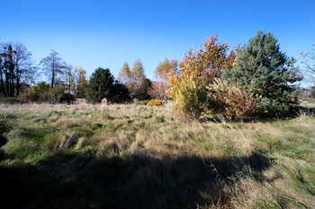 Prodej pozemku 2203 m², Ostravice