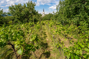Prodej domu 120 m², Věteřov